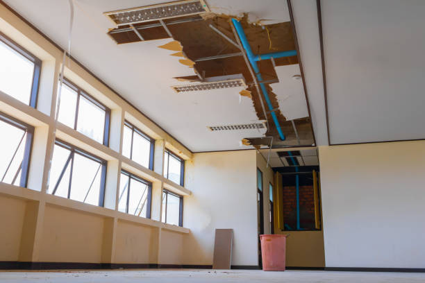 Best Water damage cleanup near me  in Delta Junction, AK