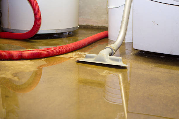 Best Fire Damage Restoration  in Delta Junction, AK