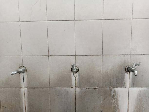 Best Emergency water damage restoration  in Delta Junction, AK