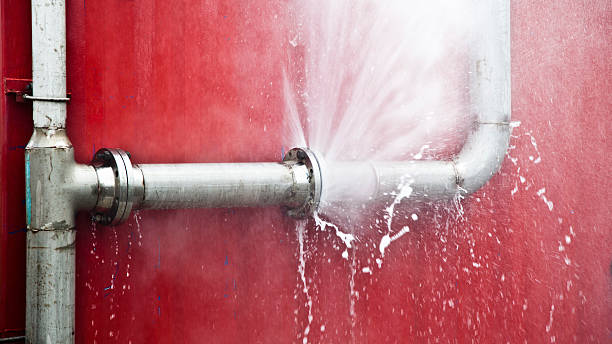 Best Water damage restoration near me  in Delta Junction, AK